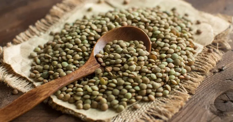 Green Lentil Grains